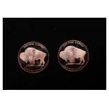 Group of Two 1oz .999 Fine Copper Bullion Rounds -