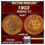 *Highlight* 1903 Indian Cent 1c ms66 rb SEGS (fc)