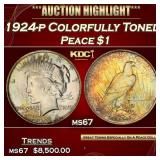 IC 1924-p Peace Dollar Colorfully Toned $1 ms67 SE