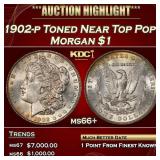 IC 1902-p Morgan Dollar Toned Near Top Pop! $1 ms6