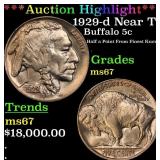 *Highlight* 1929-d Buffalo Nickel Near Top Pop! 5c
