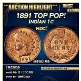 1891 Indian Cent TOP POP! 1c ms66 rb SEGS