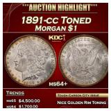 1891-cc Morgan Dollar Toned $1 ms64+ SEGS