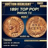 1891 Indian Cent TOP POP! 1c ms66 rb SEGS