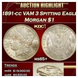 1891-cc VAM 3 Spitting Eagle Morgan Dollar $1 ms65