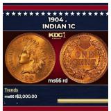 1904 Indian Cent . 1c ms66 rd SEGS