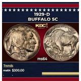 1929-d Buffalo Nickel 5c Grades ms64