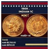 1909 Indian Cent . 1c ms65+ rd SEGS