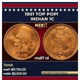 1901 Indian Cent TOP POP! 1c ms67 rd SEGS