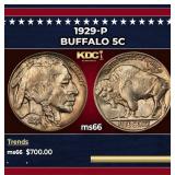 1929-p Buffalo Nickel 5c Grades GEM+ Unc