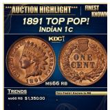 1891 Indian Cent TOP POP! 1c ms66 rb SEGS