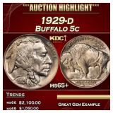 1929-d Buffalo Nickel 5c ms65+ SEGS