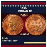 1899 Indian Cent . 1c ms66 rd SEGS