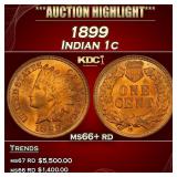 1899 Indian Cent 1c ms66+ rd SEGS