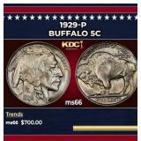 1929-p Buffalo Nickel 5c Grades ms66