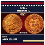 1903 Indian Cent . 1c ms66 rd SEGS