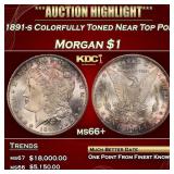 1891-s Morgan Dollar Colorfully Toned Near Top Pop