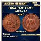 1894 Indian Cent TOP POP! 1c ms66+ rb SEGS
