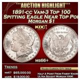 1891-cc Morgan Dollar Vam-3 Top 100 Spitting Eagle