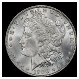 1900-p Morgan Dollar $1 Grades ms64