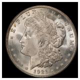 1921-d Morgan Dollar $1 Grades ms65+