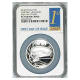 NGC NGC 2016-p Star Trek USS Enterprise High Relie