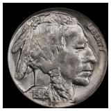 1929-p Buffalo Nickel 5c Grades ms65