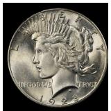 1928-p Peace Dollar $1 Grades ms63