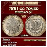 1881-cc Morgan Dollar Toned $1 ms66+ SEGS