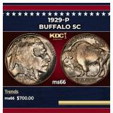 1929-p Buffalo Nickel 5c Grades ms66