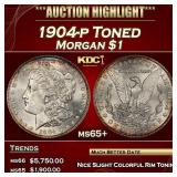 1904-p Morgan Dollar Toned $1 ms65+ SEGS