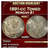 1891-cc Morgan Dollar Toned $1 ms65+ SEGS