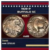 1929-p Buffalo Nickel 5c Grades ms66
