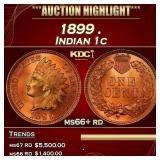1899 Indian Cent . 1c ms66+ rd SEGS