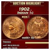 1902 Indian Cent . 1c ms66+ rd SEGS