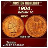 1904 Indian Cent . 1c ms66 rd SEGS