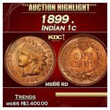 1899 Indian Cent . 1c ms66 rd SEGS