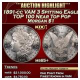 1891-cc VAM 3 Spitting Eagle TOP 100 Morgan Dollar