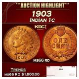 1903 Indian Cent . 1c ms66 rd SEGS