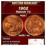 1902 Indian Cent . 1c ms66+ rd SEGS