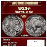 1923-p Buffalo Nickel 5c ms66+ SEGS