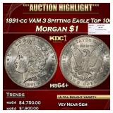 1891-cc VAM 3 Spitting Eagle Top 100 Morgan Dollar