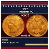 1907 Indian Cent . 1c ms66 rd SEGS