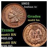 1902 Indian Cent 1c Grades Select Unc BN
