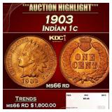 1903 Indian Cent . 1c ms66 rd SEGS