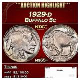 1929-d Buffalo Nickel 5c ms65+ SEGS