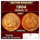 1904 Indian Cent . 1c ms66 rd SEGS