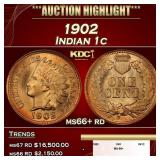 1902 Indian Cent . 1c ms66+ rd SEGS