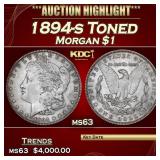 1894-s Morgan Dollar Toned $1 ms63 USCG