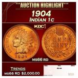1904 Indian Cent . 1c ms66 rd SEGS